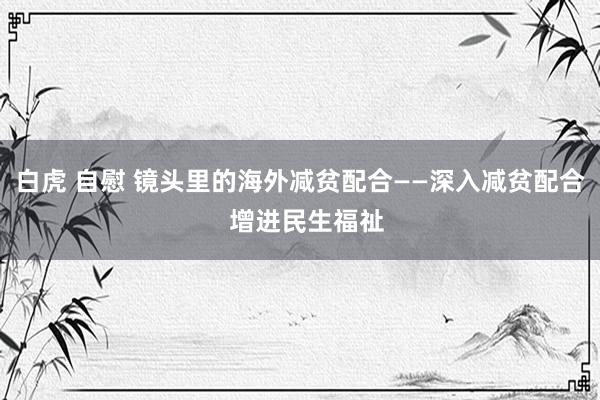 白虎 自慰 镜头里的海外减贫配合——深入减贫配合  增进民生福祉