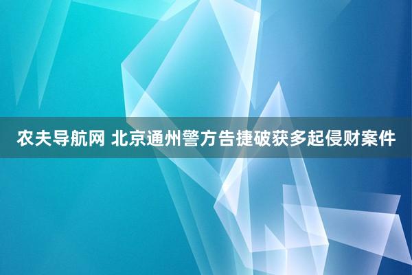 农夫导航网 北京通州警方告捷破获多起侵财案件