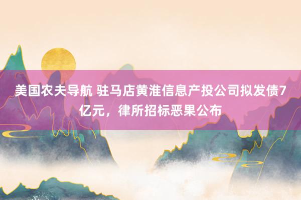 美国农夫导航 驻马店黄淮信息产投公司拟发债7亿元，律所招标恶果公布