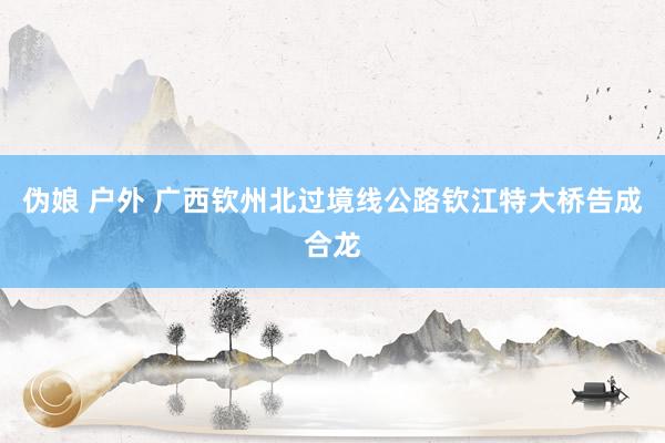 伪娘 户外 广西钦州北过境线公路钦江特大桥告成合龙