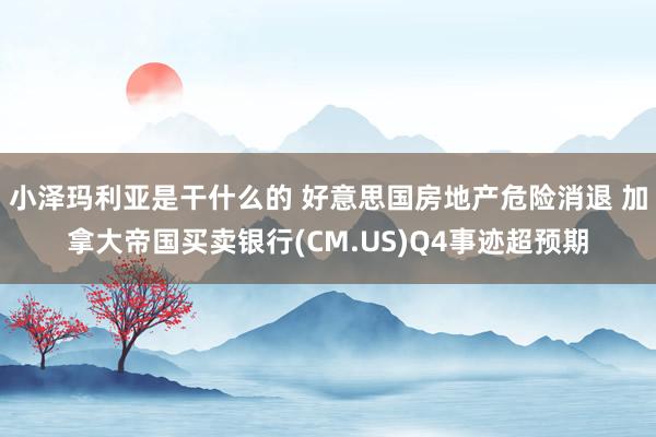 小泽玛利亚是干什么的 好意思国房地产危险消退 加拿大帝国买卖银行(CM.US)Q4事迹超预期