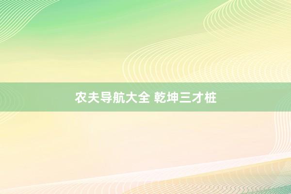 农夫导航大全 乾坤三才桩