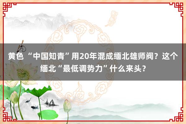 黄色 “中国知青”用20年混成缅北雄师阀？这个缅北“最低调势力”什么来头？