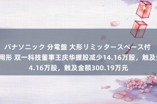 パナソニック 分電盤 大形リミッタースペース付 露出・半埋込両用形 双一科技董事王庆华握股减少14.16万股，触及金额300.19万元