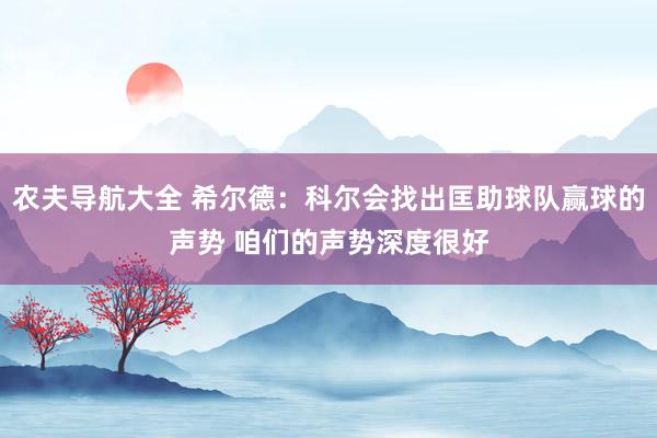 农夫导航大全 希尔德：科尔会找出匡助球队赢球的声势 咱们的声势深度很好