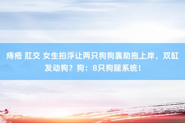 痔疮 肛交 女生拍浮让两只狗狗襄助拖上岸，双缸发动狗？狗：8只狗腿系统！