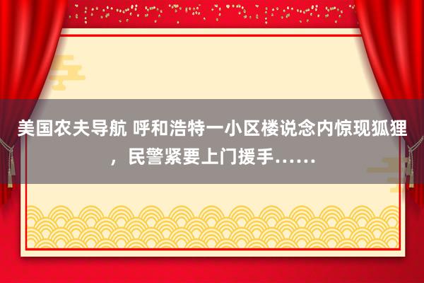 美国农夫导航 呼和浩特一小区楼说念内惊现狐狸，民警紧要上门援手……
