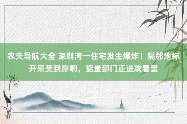 农夫导航大全 深圳湾一住宅发生爆炸！隔邻地标开采受到影响，掂量部门正进攻看望