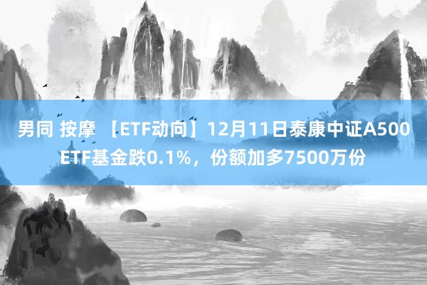 男同 按摩 【ETF动向】12月11日泰康中证A500ETF基金跌0.1%，份额加多7500万份
