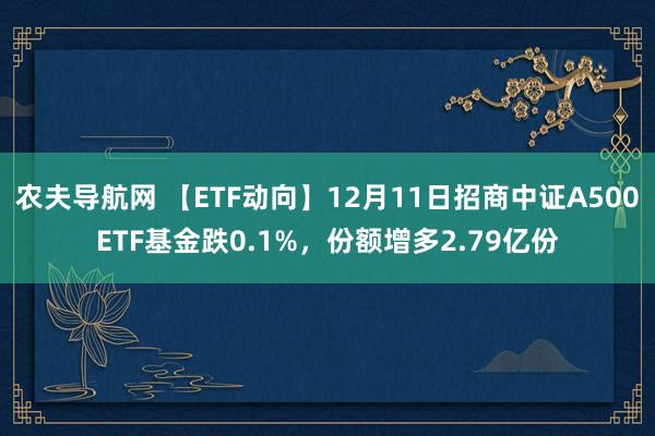 农夫导航网 【ETF动向】12月11日招商中证A500ETF基金跌0.1%，份额增多2.79亿份