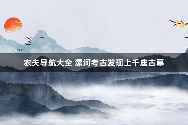 农夫导航大全 漯河考古发现上千座古墓