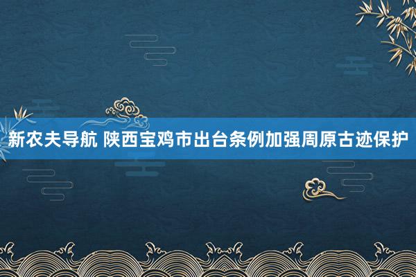 新农夫导航 陕西宝鸡市出台条例加强周原古迹保护