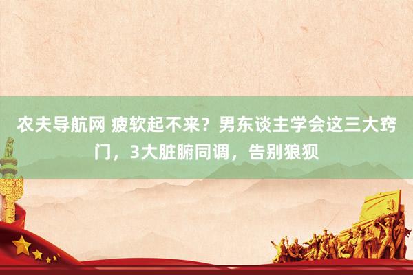 农夫导航网 疲软起不来？男东谈主学会这三大窍门，3大脏腑同调，告别狼狈