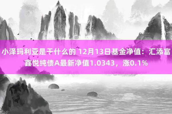 小泽玛利亚是干什么的 12月13日基金净值：汇添富鑫悦纯债A最新净值1.0343，涨0.1%