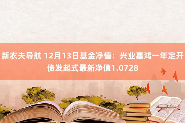 新农夫导航 12月13日基金净值：兴业嘉鸿一年定开债发起式最新净值1.0728