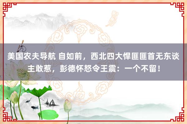 美国农夫导航 自如前，西北四大悍匪匪首无东谈主敢惹，彭德怀怒令王震：一个不留！