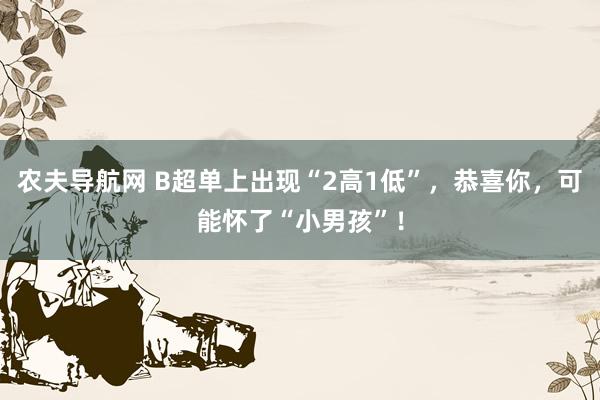 农夫导航网 B超单上出现“2高1低”，恭喜你，可能怀了“小男孩”！