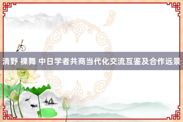 清野 裸舞 中日学者共商当代化交流互鉴及合作远景