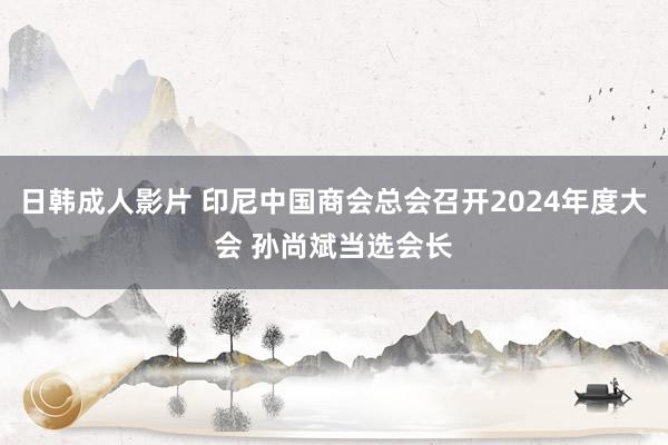 日韩成人影片 印尼中国商会总会召开2024年度大会 孙尚斌当选会长