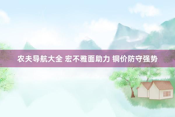 农夫导航大全 宏不雅面助力 铜价防守强势