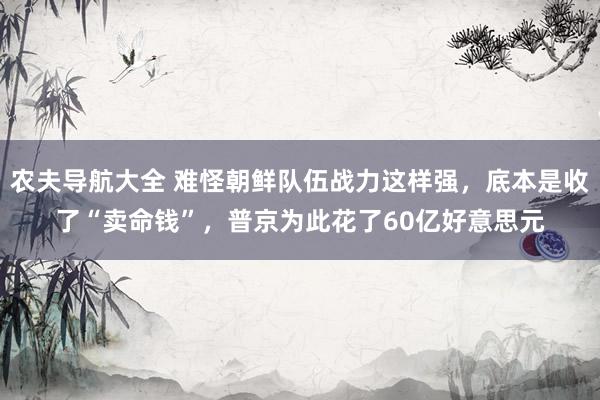 农夫导航大全 难怪朝鲜队伍战力这样强，底本是收了“卖命钱”，普京为此花了60亿好意思元