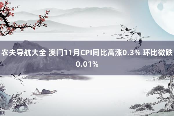 农夫导航大全 澳门11月CPI同比高涨0.3% 环比微跌0.01%