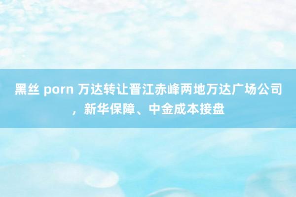 黑丝 porn 万达转让晋江赤峰两地万达广场公司，新华保障、中金成本接盘