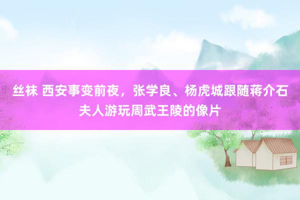 丝袜 西安事变前夜，张学良、杨虎城跟随蒋介石夫人游玩周武王陵的像片