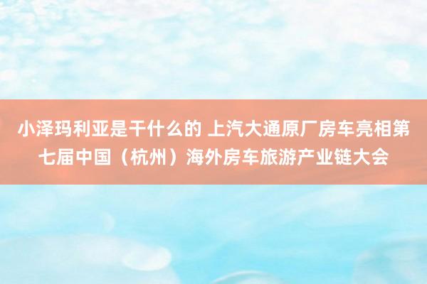 小泽玛利亚是干什么的 上汽大通原厂房车亮相第七届中国（杭州）海外房车旅游产业链大会