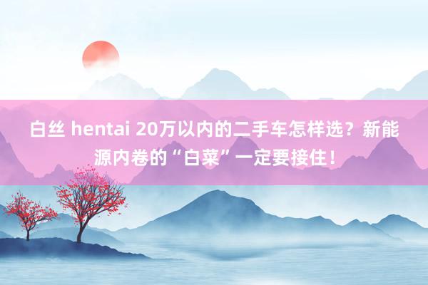 白丝 hentai 20万以内的二手车怎样选？新能源内卷的“白菜”一定要接住！