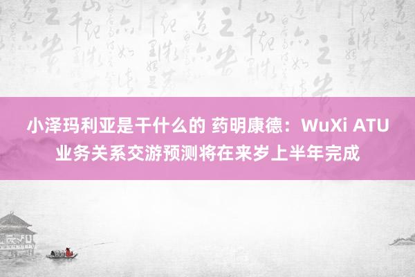 小泽玛利亚是干什么的 药明康德：WuXi ATU业务关系交游预测将在来岁上半年完成