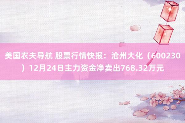 美国农夫导航 股票行情快报：沧州大化（600230）12月24日主力资金净卖出768.32万元