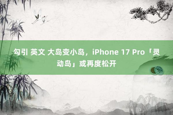 勾引 英文 大岛变小岛，iPhone 17 Pro「灵动岛」或再度松开