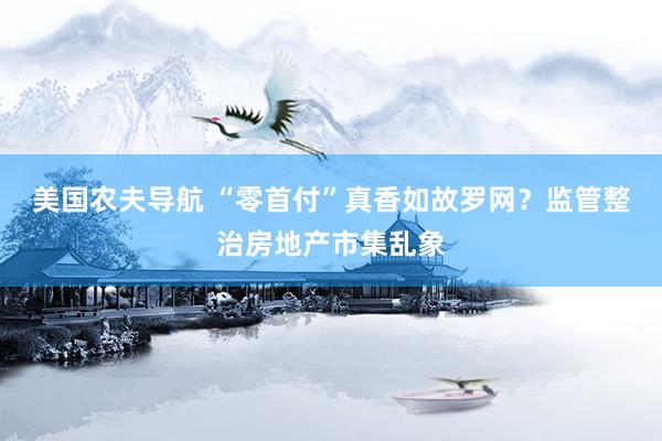 美国农夫导航 “零首付”真香如故罗网？监管整治房地产市集乱象