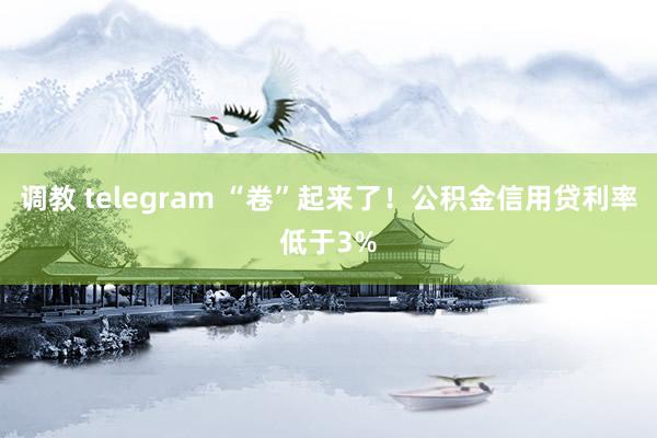 调教 telegram “卷”起来了！公积金信用贷利率低于3%