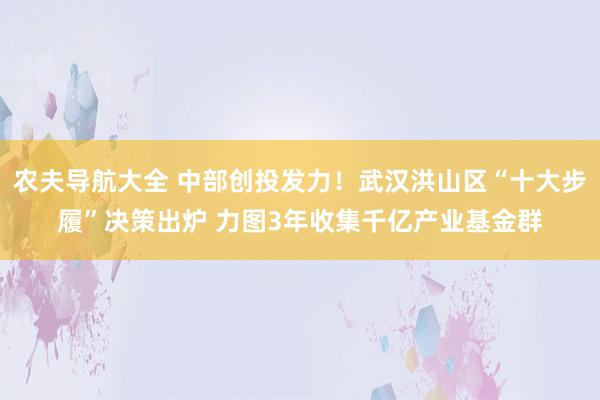 农夫导航大全 中部创投发力！武汉洪山区“十大步履”决策出炉 力图3年收集千亿产业基金群