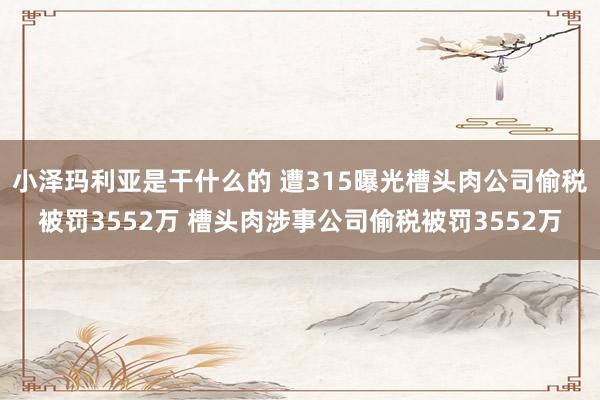 小泽玛利亚是干什么的 遭315曝光槽头肉公司偷税被罚3552万 槽头肉涉事公司偷税被罚3552万