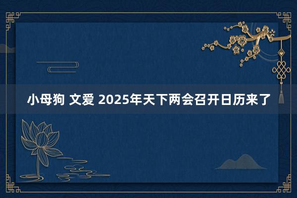 小母狗 文爱 2025年天下两会召开日历来了