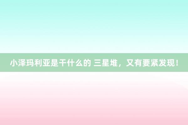 小泽玛利亚是干什么的 三星堆，又有要紧发现！