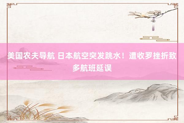 美国农夫导航 日本航空突发跳水！遭收罗挫折致多航班延误