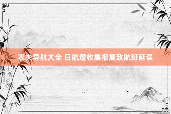 农夫导航大全 日航遭收集报复致航班延误