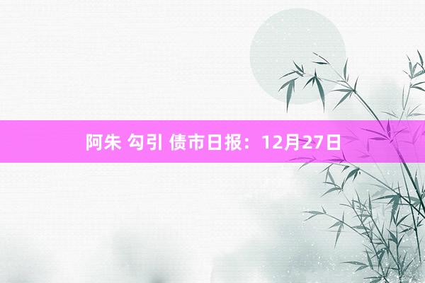 阿朱 勾引 债市日报：12月27日