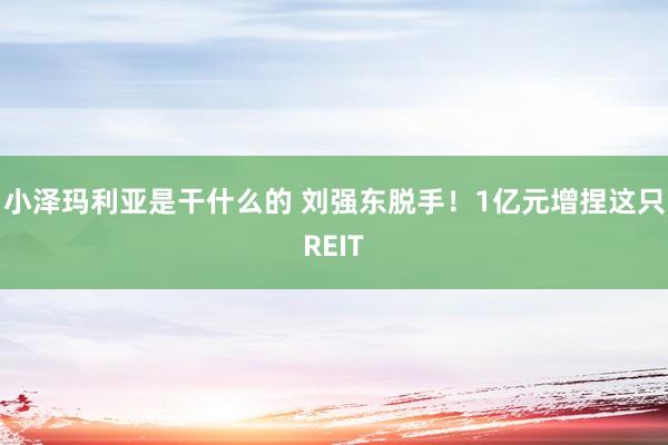 小泽玛利亚是干什么的 刘强东脱手！1亿元增捏这只REIT