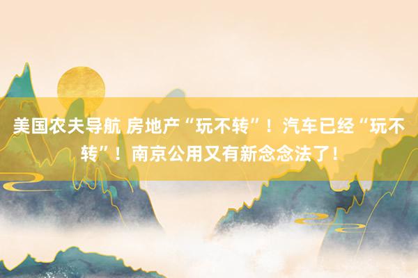 美国农夫导航 房地产“玩不转”！汽车已经“玩不转”！南京公用又有新念念法了！