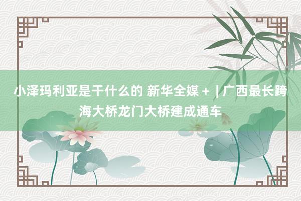 小泽玛利亚是干什么的 新华全媒＋ | 广西最长跨海大桥龙门大桥建成通车