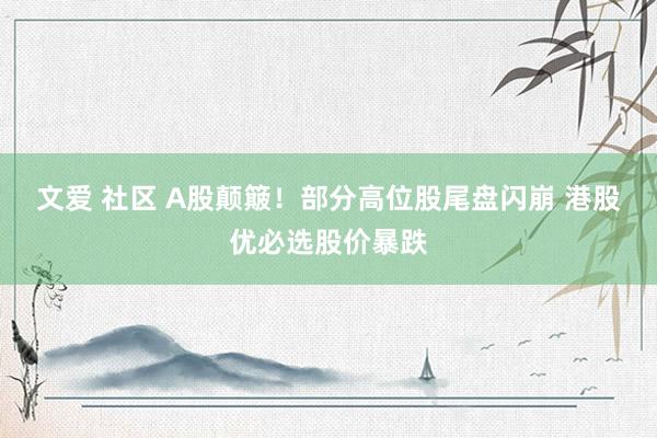 文爱 社区 A股颠簸！部分高位股尾盘闪崩 港股优必选股价暴跌