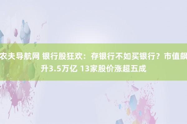 农夫导航网 银行股狂欢：存银行不如买银行？市值飙升3.5万亿 13家股价涨超五成