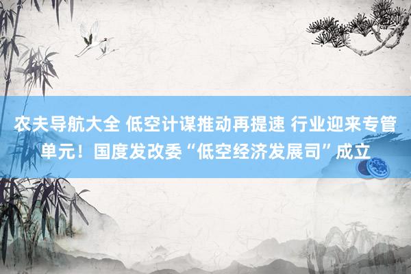 农夫导航大全 低空计谋推动再提速 行业迎来专管单元！国度发改委“低空经济发展司”成立