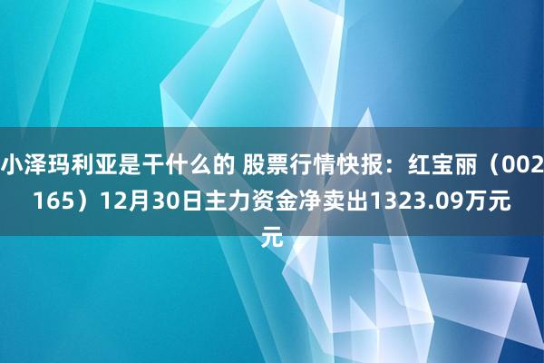 小泽玛利亚是干什么的 股票行情快报：红宝丽（002165）12月30日主力资金净卖出1323.09万元