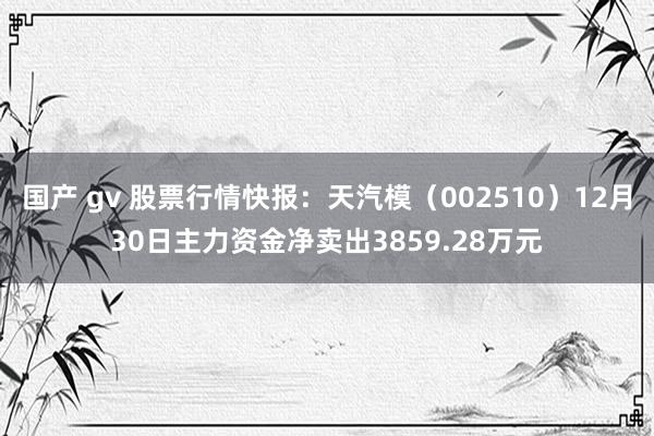 国产 gv 股票行情快报：天汽模（002510）12月30日主力资金净卖出3859.28万元